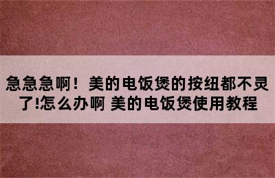 急急急啊！美的电饭煲的按纽都不灵了!怎么办啊 美的电饭煲使用教程